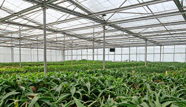 核对清单:APP开发维护关键检查要点